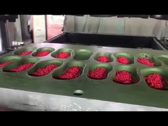 Material EVA de alta qualidade Granulado Pellet Colorido